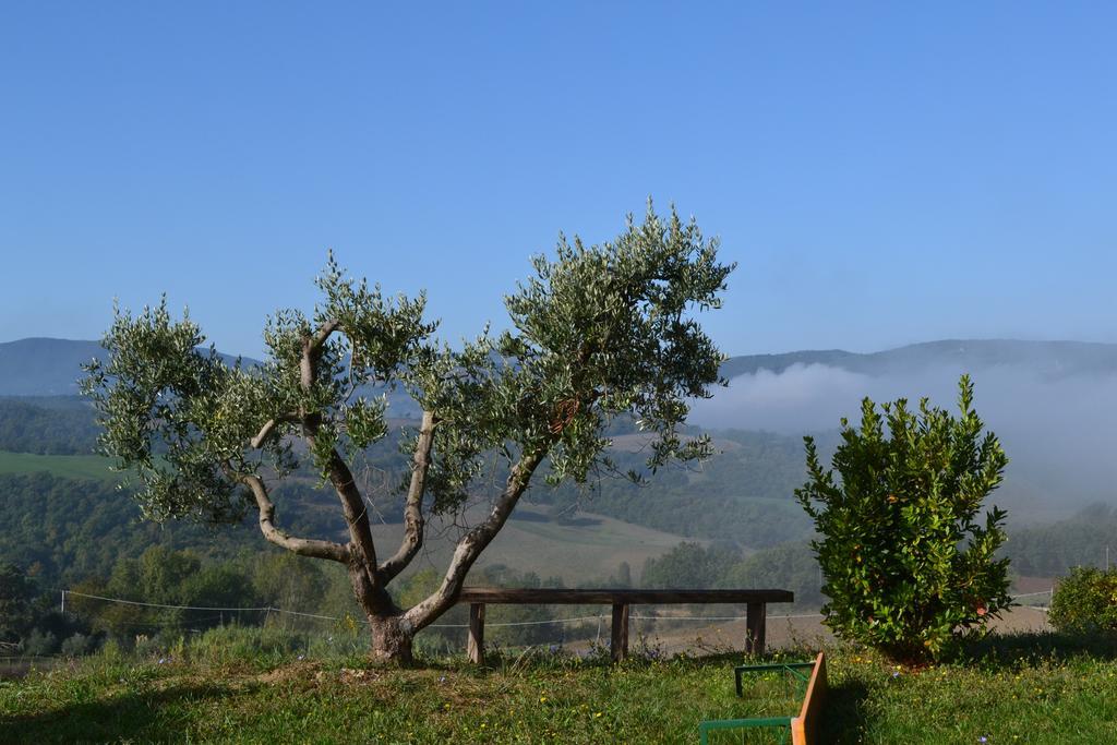 Agriturismo Il Merollo Hotel Todi Exterior foto